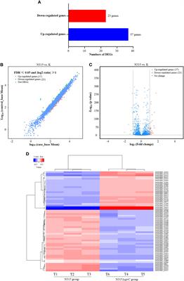 Insights Into the Impact of Small RNA SprC on the Metabolism and Virulence of Staphylococcus aureus